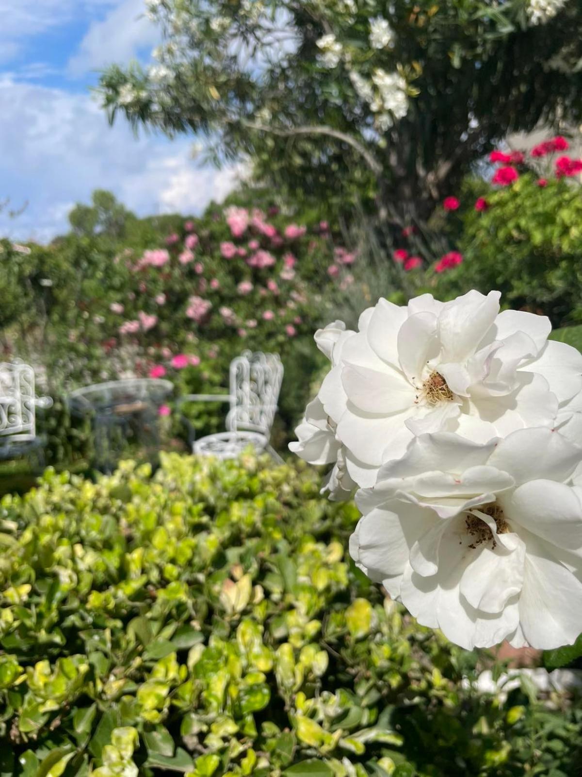 Villa Tina Country Beach Apartments 阿查拉维 客房 照片