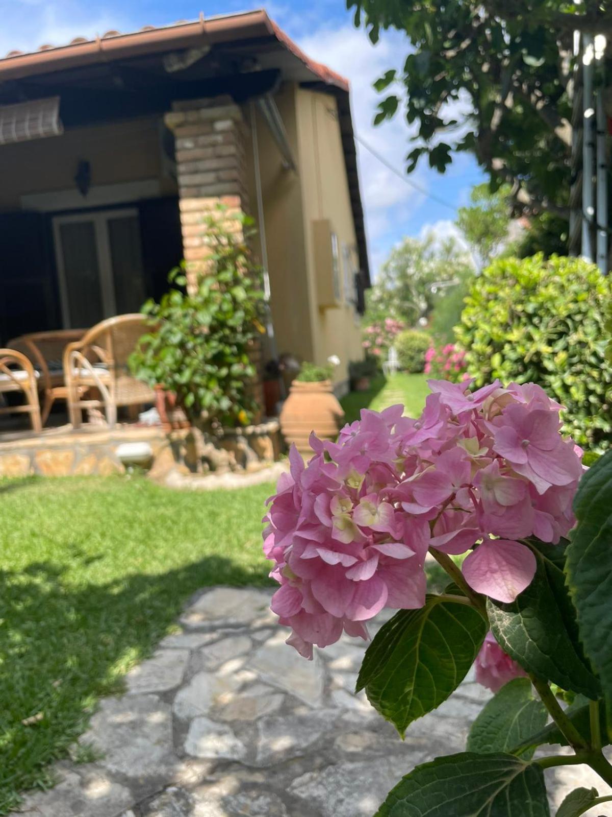 Villa Tina Country Beach Apartments 阿查拉维 客房 照片
