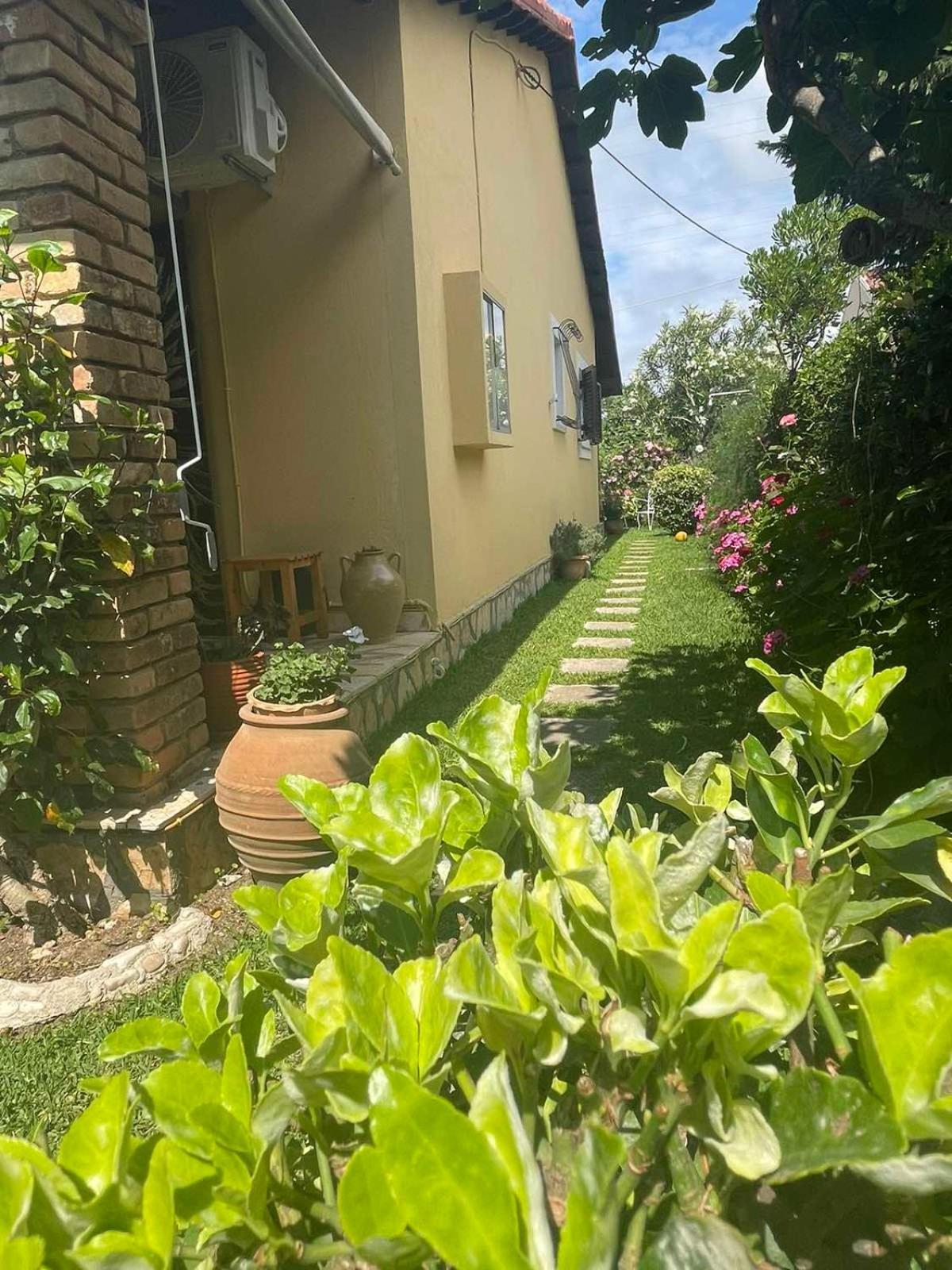 Villa Tina Country Beach Apartments 阿查拉维 客房 照片