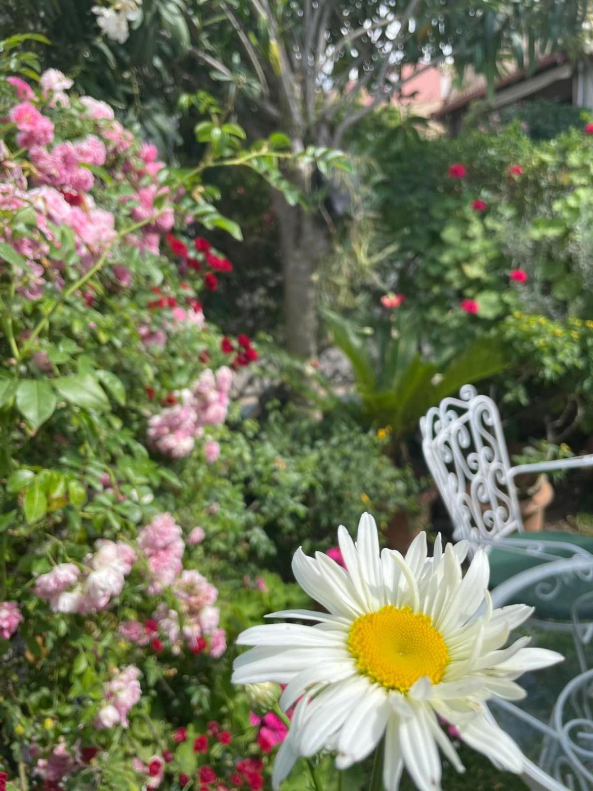 Villa Tina Country Beach Apartments 阿查拉维 客房 照片